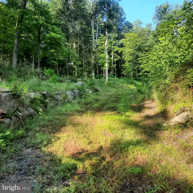 5968 State Park Rd, Pipersville