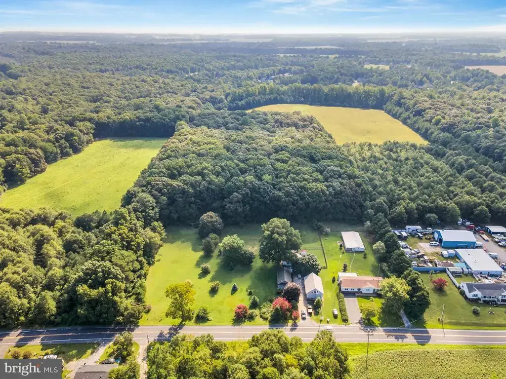 10217 Clendaniel Pond Rd, LINCOLN