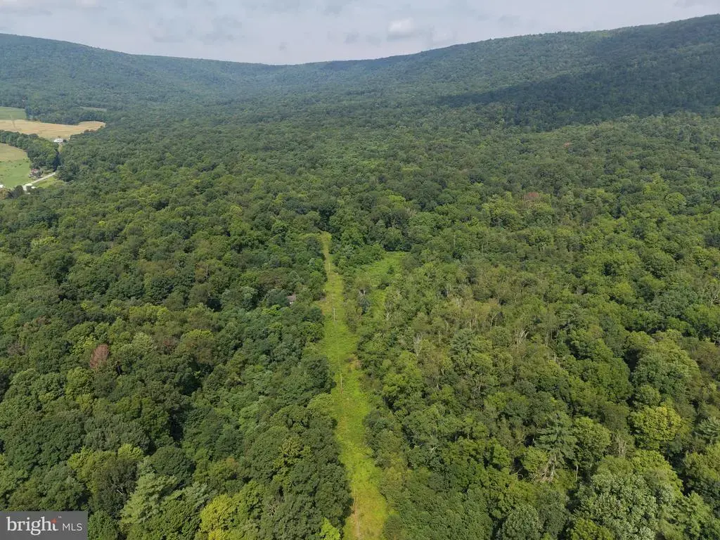 107+/- Acres Schenck Rd, WELLS TANNERY