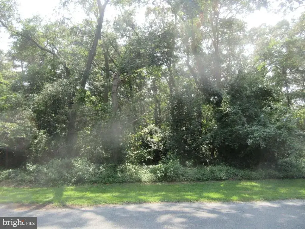Parcel 75.00 Armiger Dr, SEAFORD