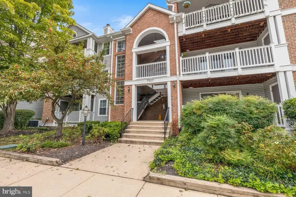 7507 Ashby Ln #m, ALEXANDRIA