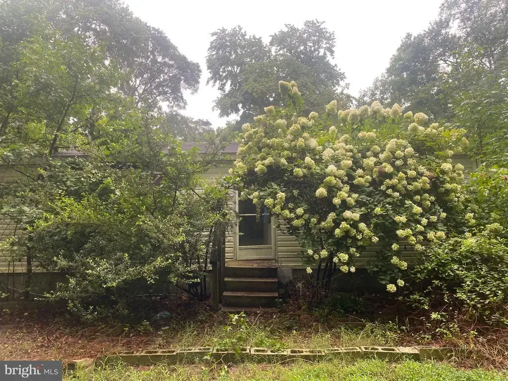 22056 Laurel Rd, MILLSBORO