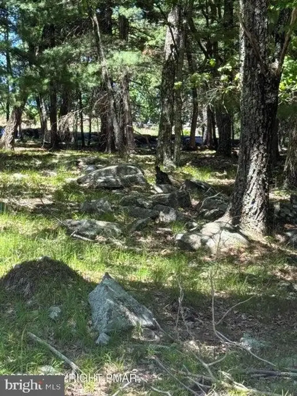 Song Mountain Drive, TAFTON