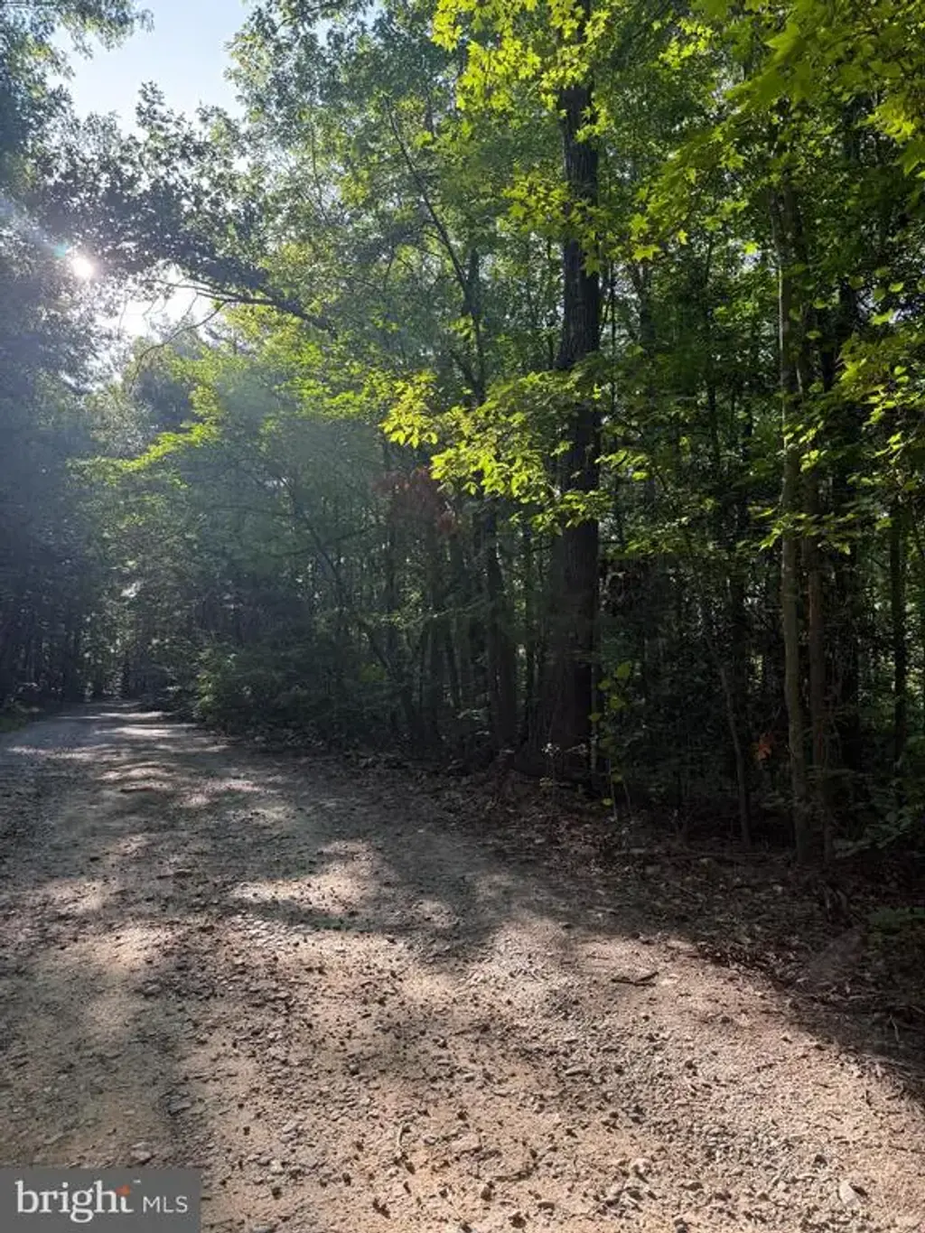 Lot 20 Foxbrook Ln, LOUISA