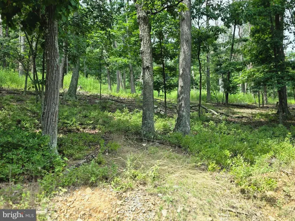 Lots 6 & 7 Pioneer Ln, CAPON BRIDGE