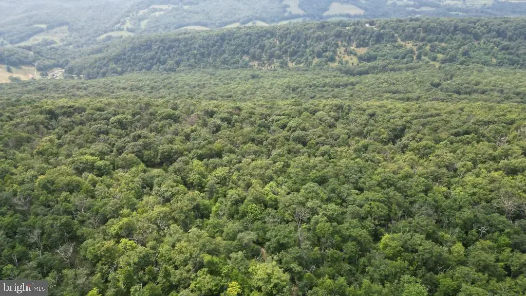 1841 Panther Rd, MAYSVILLE