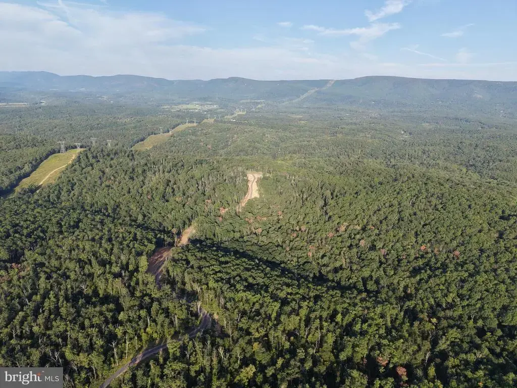 Tract 1: 152.44+/- Acres Off Of Laurel Grove Rd, WINCHESTER