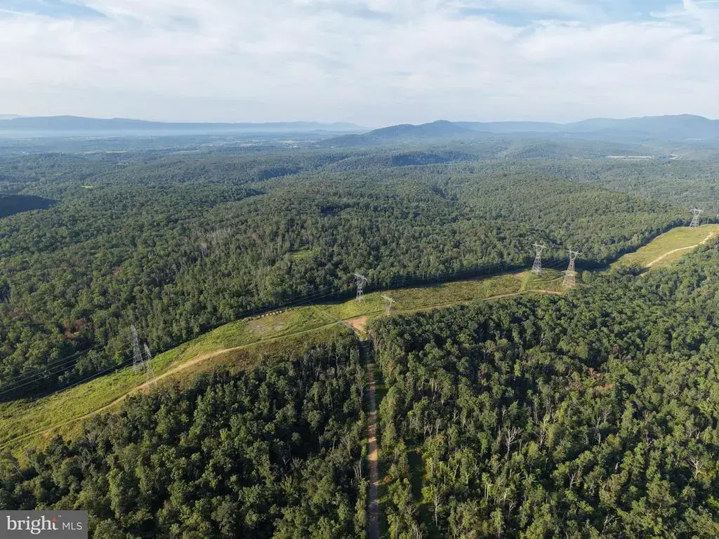 Tract 2: 158.43+/- Acres Laurel Grove Rd, WINCHESTER
