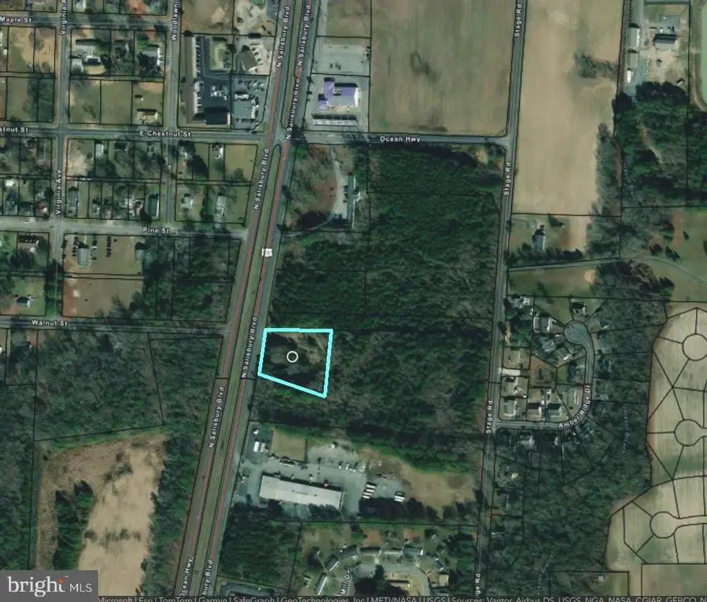9419 Ocean Hwy, DELMAR