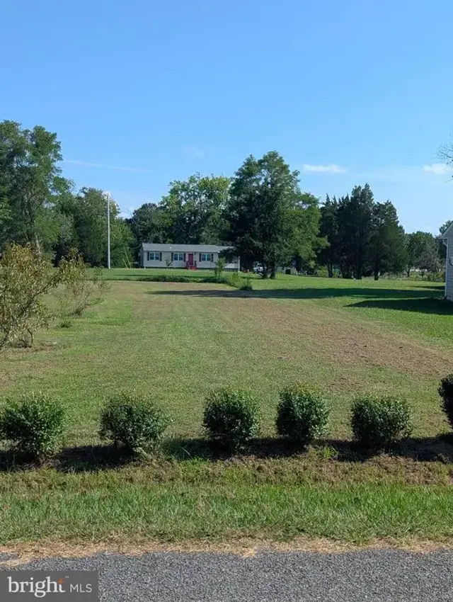 Pleasant, Bushwood