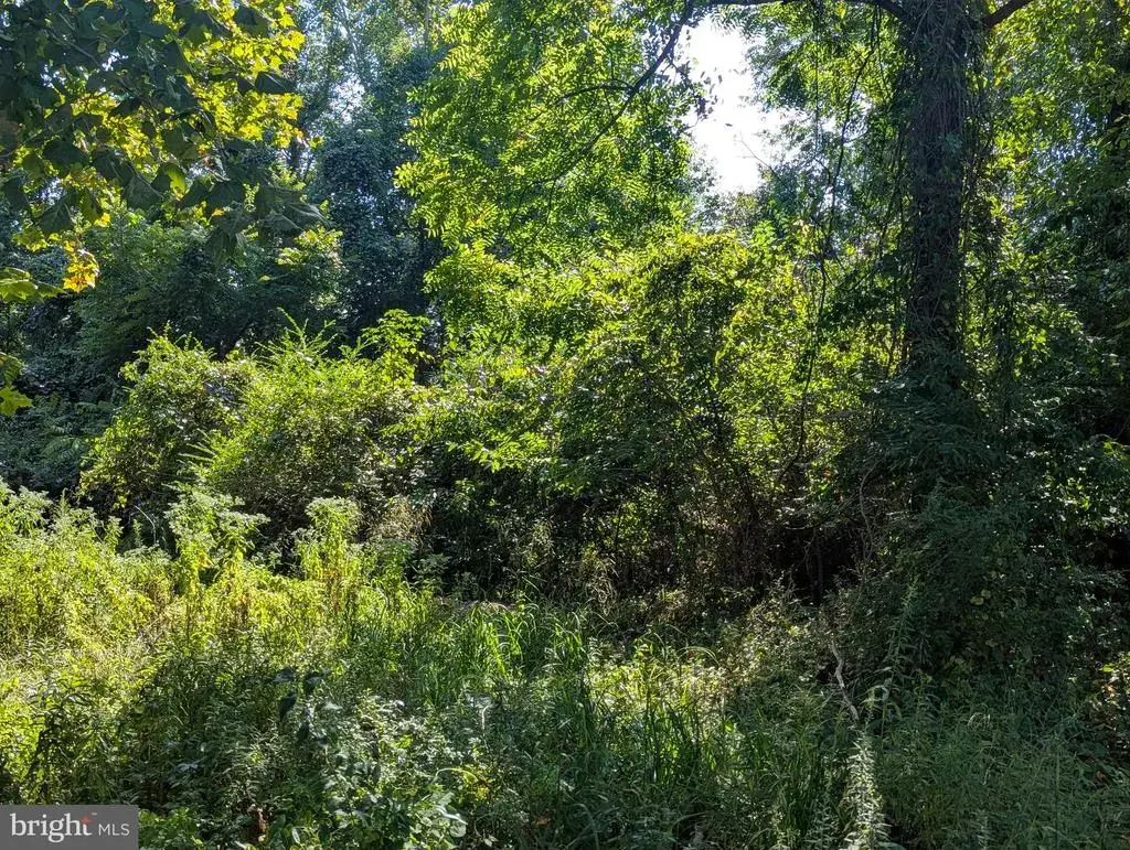Oakley Dr, BUSHWOOD