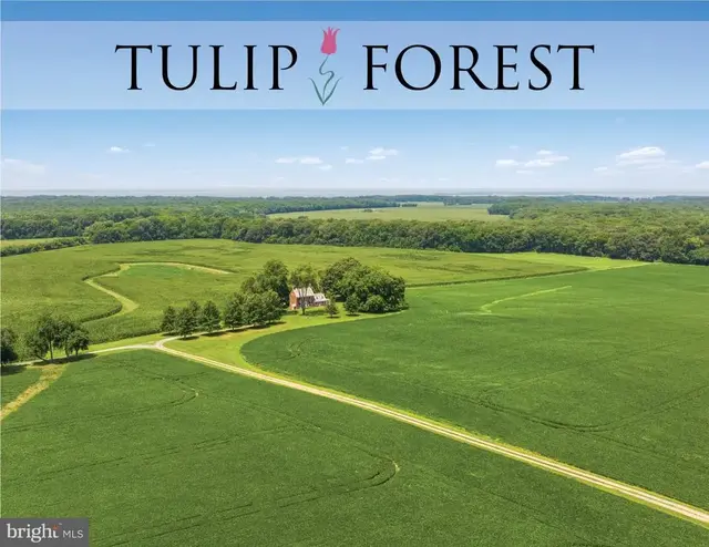8184 Rock Hall Rd, Chestertown