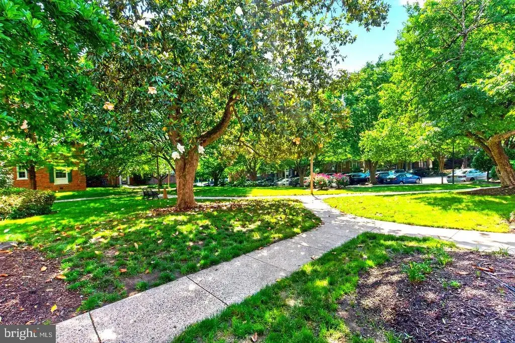 1811 Key Blvd #10532, ARLINGTON