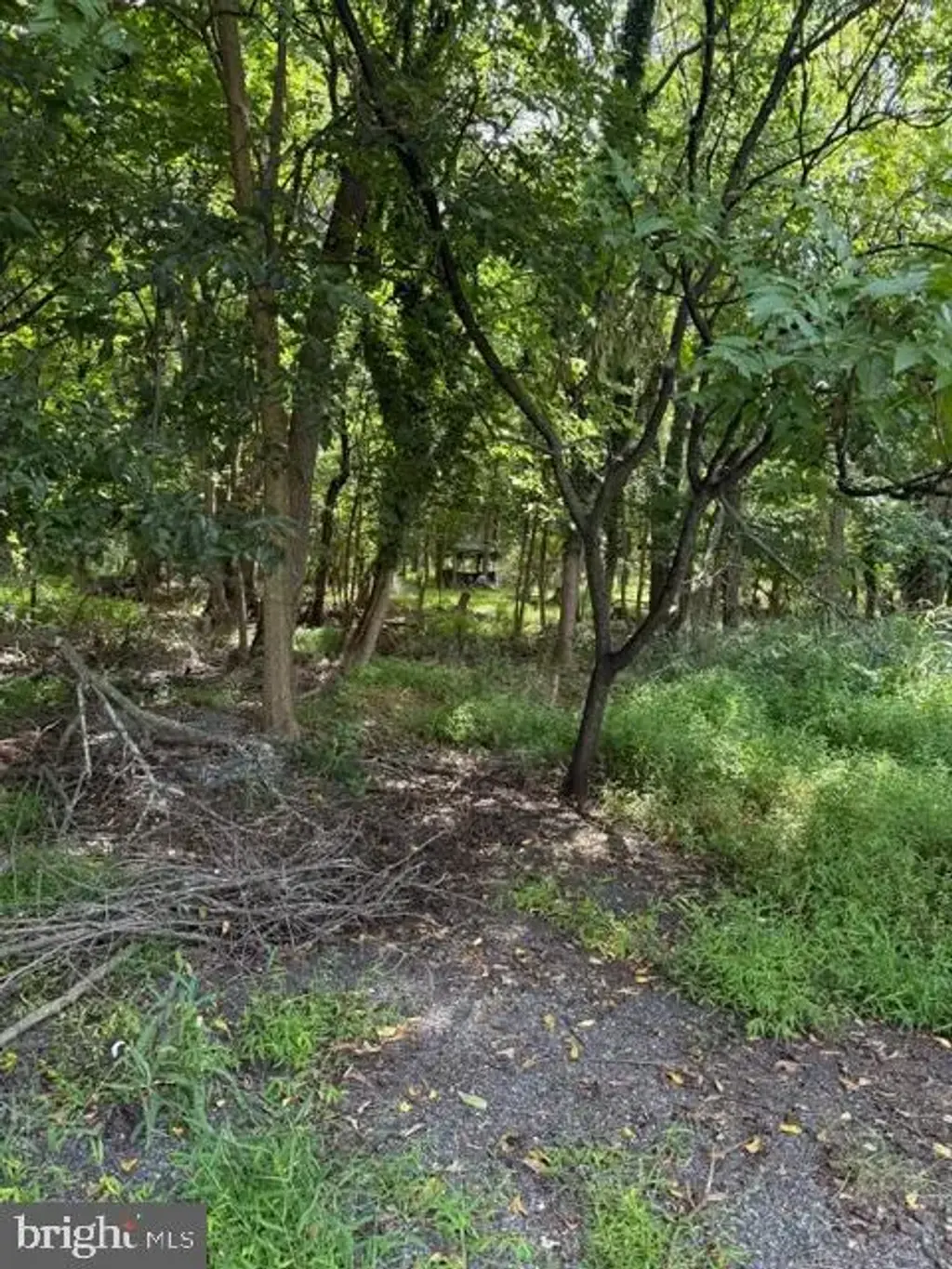 50 Saint Paul St #lot 2, BOONSBORO