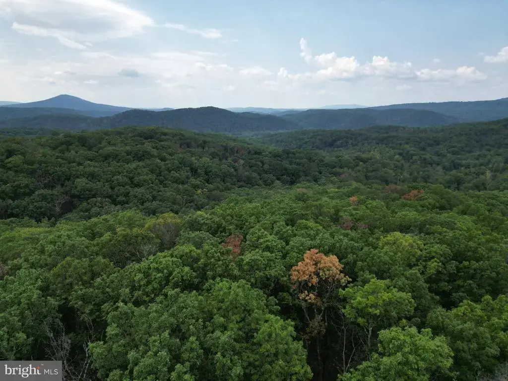 29 Acres Gaither Rd, GREAT CACAPON