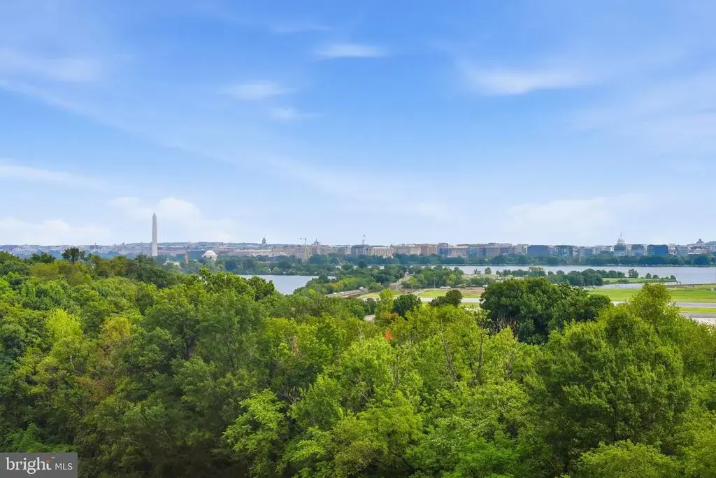 1805 Crystal Dr #912s, ARLINGTON