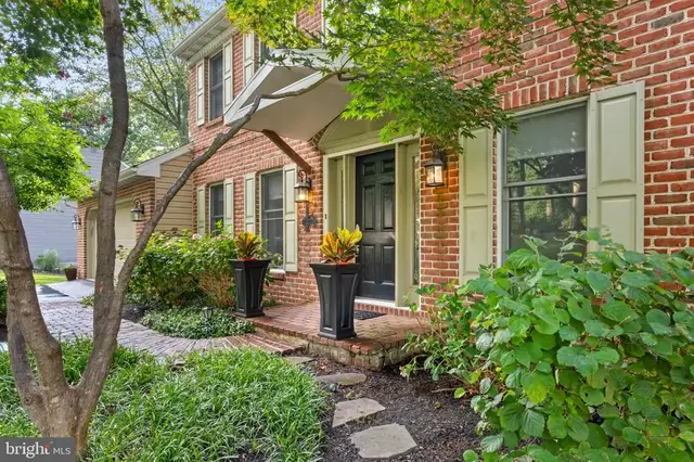 10 Shady Hollow, Reading