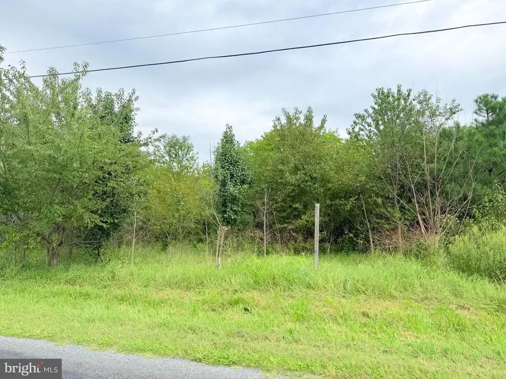 15441 Cutoff Rd, UNKNOWN