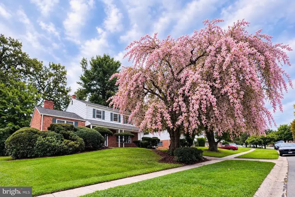 900 Lamberton Dr, SILVER SPRING