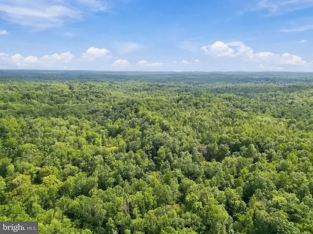 Holly Springs Rd, Amissville