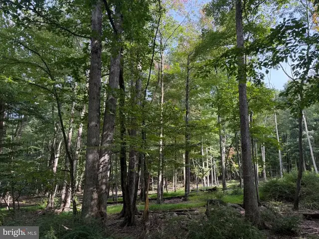 376 Davos Circle, Zion Grove