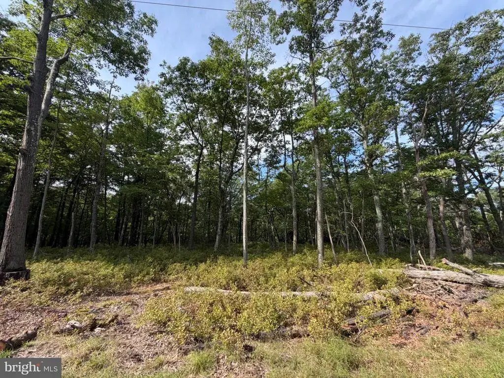 575 Chamonix Lane, ZION GROVE