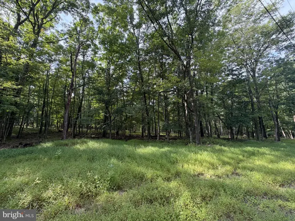 403 Davos Circle, ZION GROVE