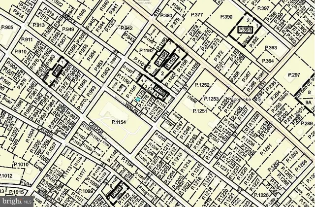 405, 407, 409 Walnut St, Pocomoke City