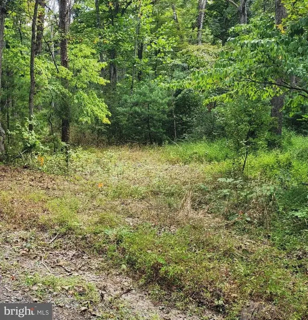 380 Conners Hollow Rd, GREAT CACAPON