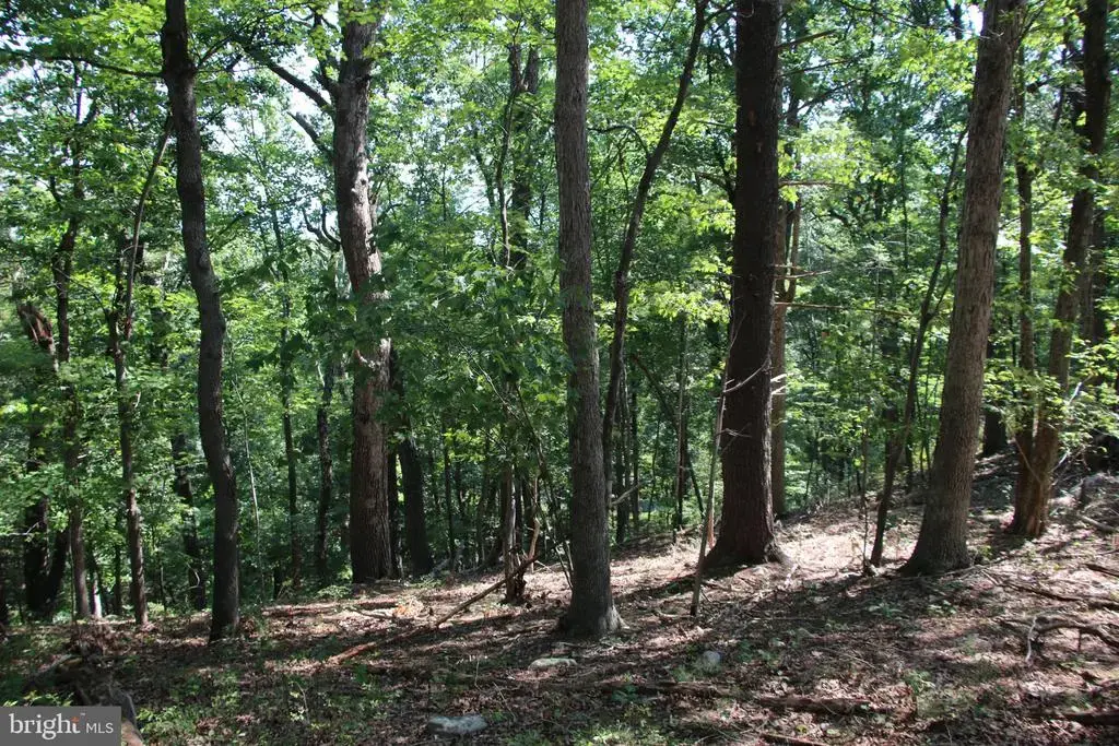 0 Lookout Dr, SHENANDOAH