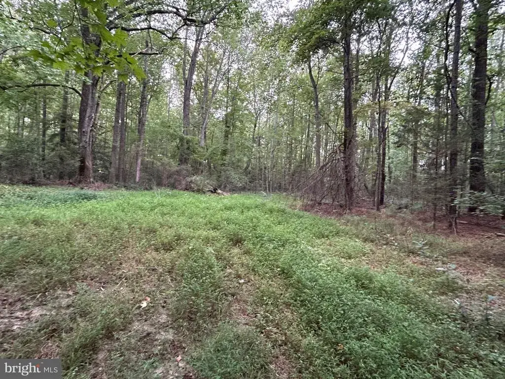 Mila Rd, HEATHSVILLE