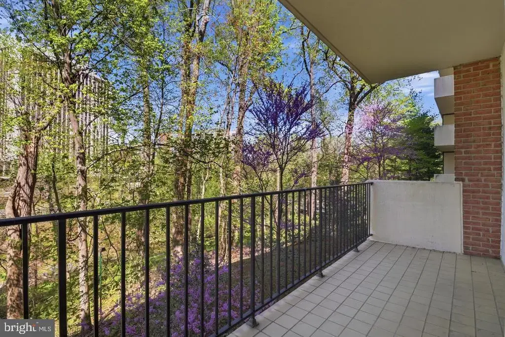 8101 Connecticut Ave #n-304, CHEVY CHASE