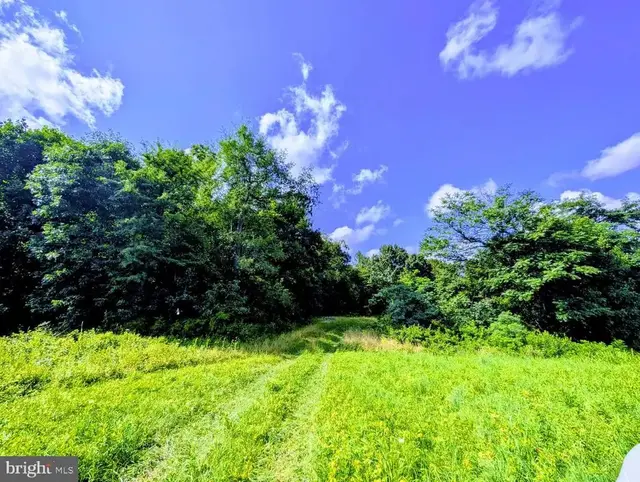 Parcel 65 - A Park Mills, Adamstown