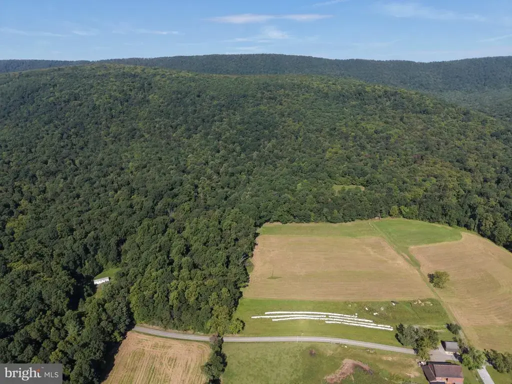 Tract 1: 151.43+/- Acres Mountain Rd, NEEDMORE