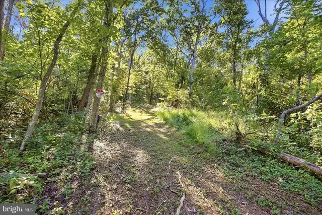 Valley Park Ct, Strasburg