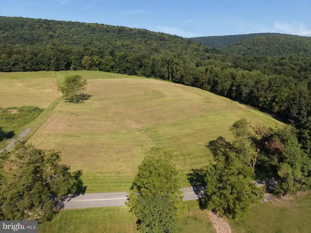 Tract 2: 21.62+/- Acres Mountain Rd, NEEDMORE