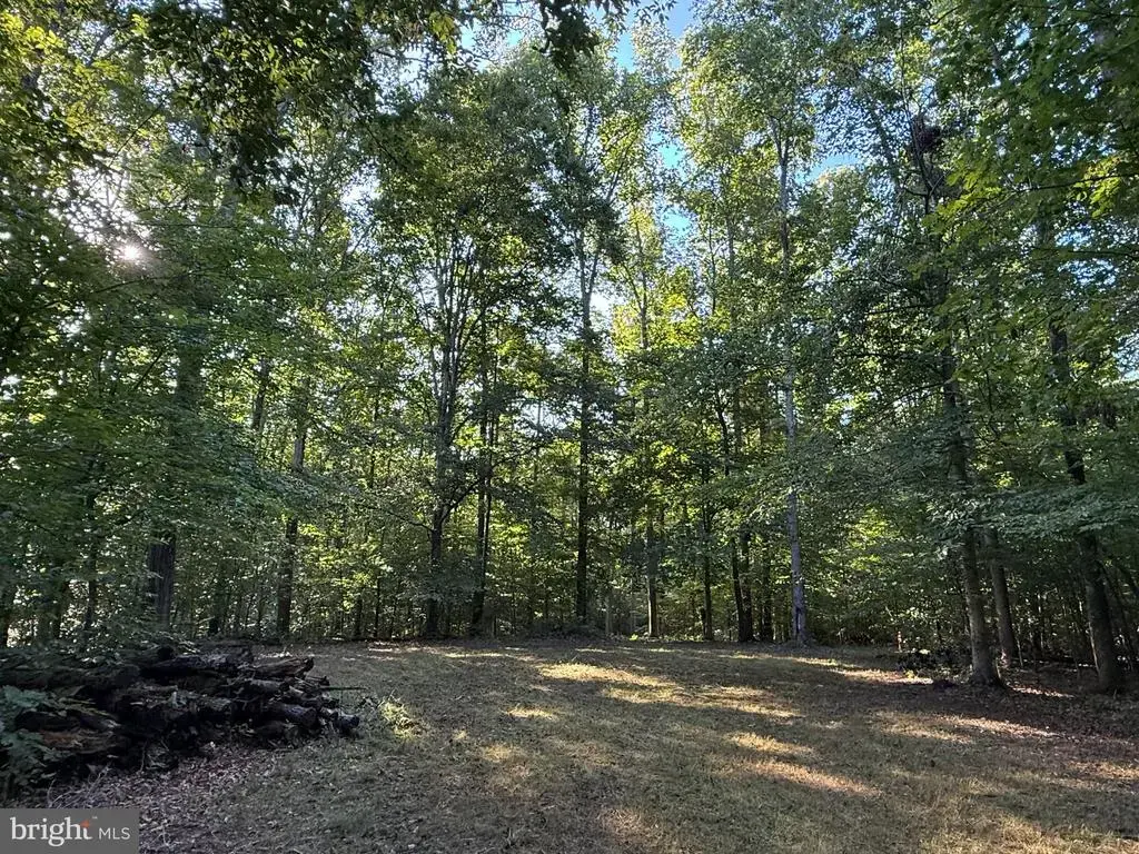 Lot 79b Everett Ln, LOUISA