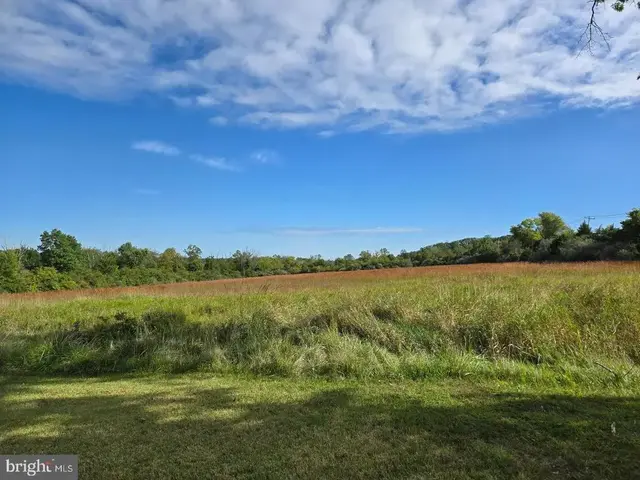 3605 Windy Bush Rd, New Hope