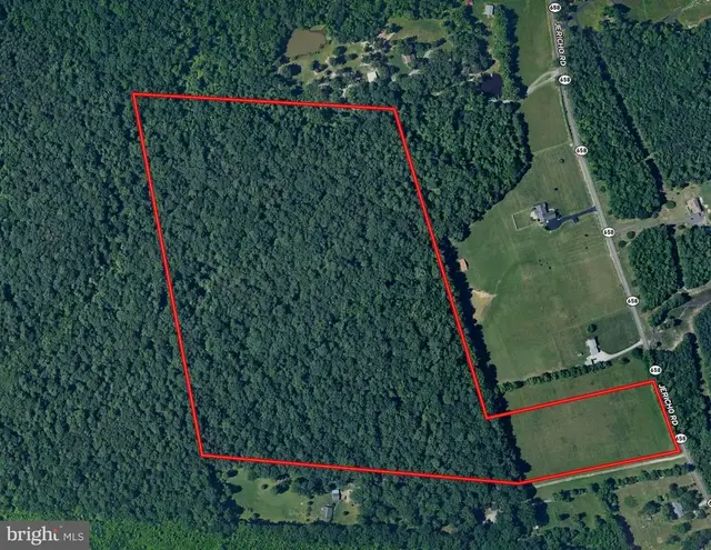 49.26 Acres Jericho Rd, Ruther Glen