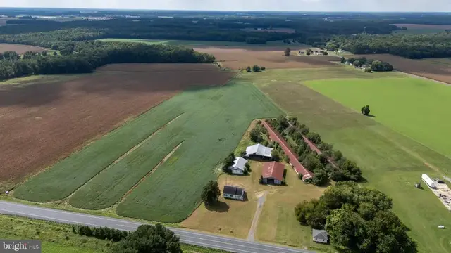 25699 Auction Rd, Federalsburg