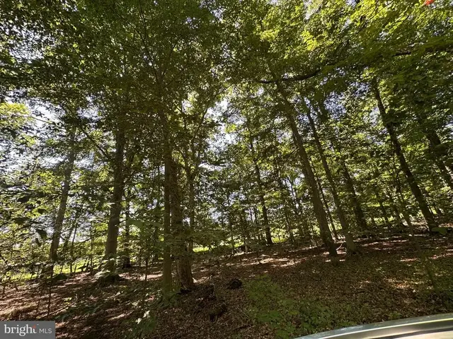 2014 Mount Ephraim Rd, Adamstown