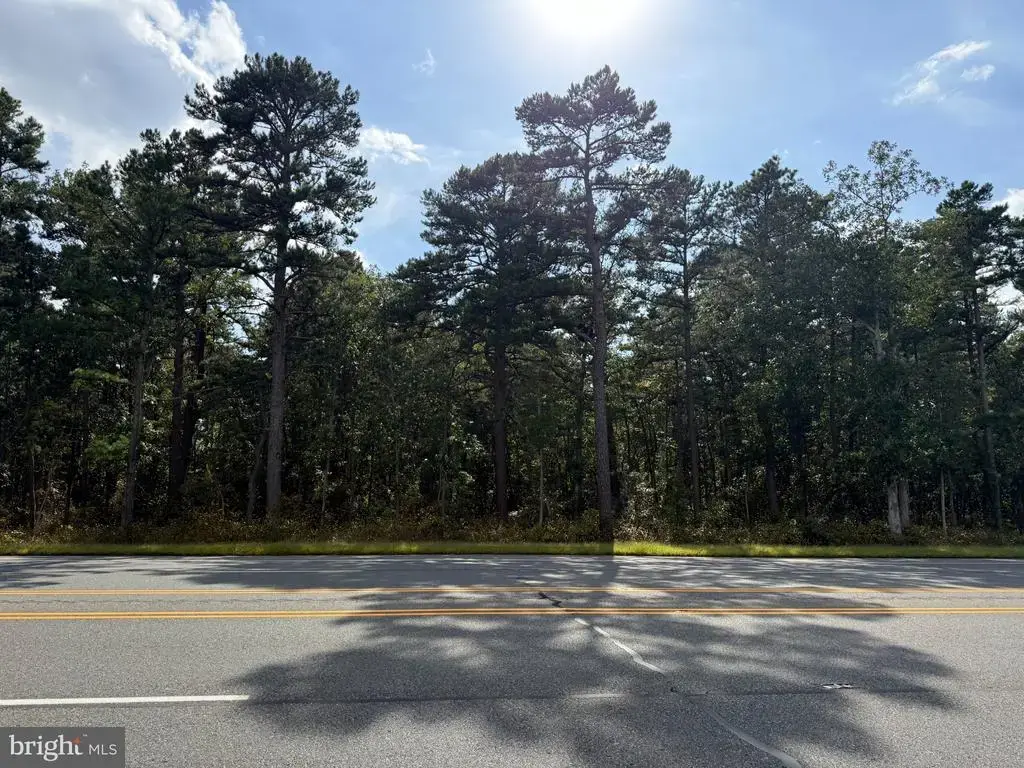 Black Horse Pike, HAMMONTON