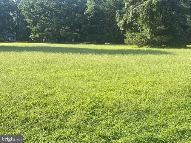 Lot 298 Underway Rd, Greenbackville