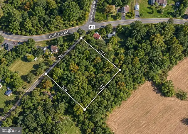 4575 Lower Mountain Rd, Furlong