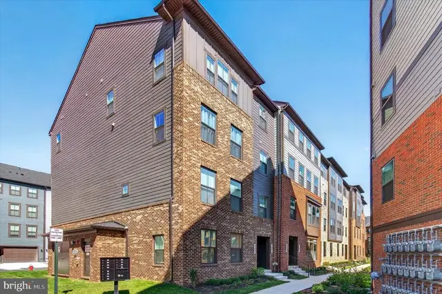 4373 Black Tulip Way #241, Chantilly
