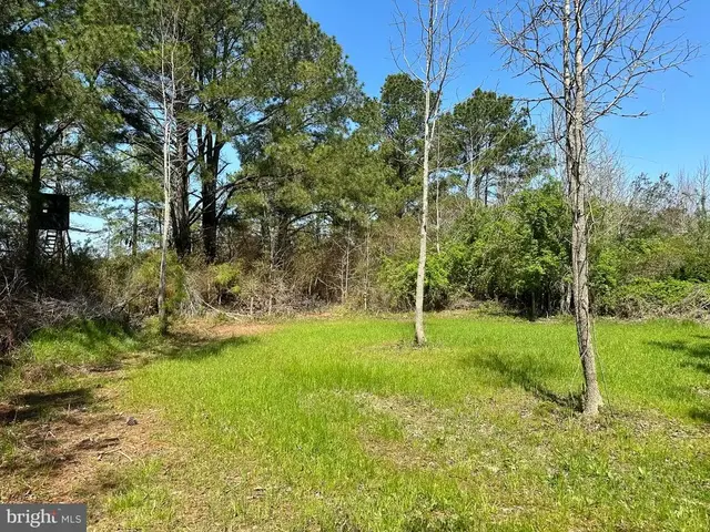 0 Bryan Hall Rd, Marion Station