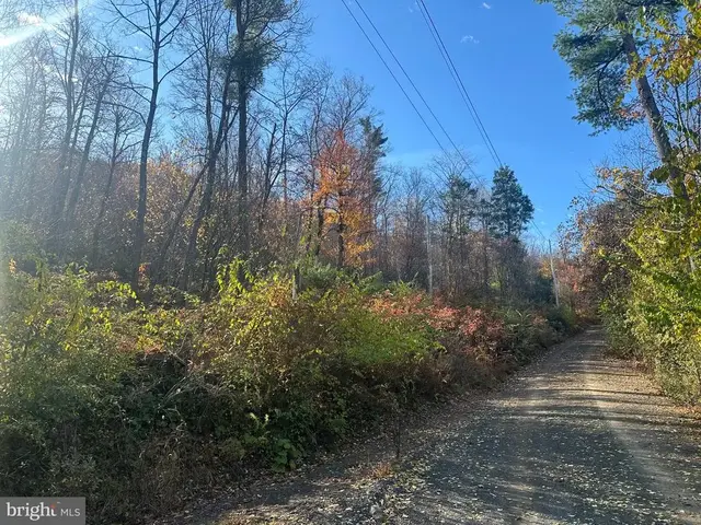 Wild Turkey Dr, Spring Mills