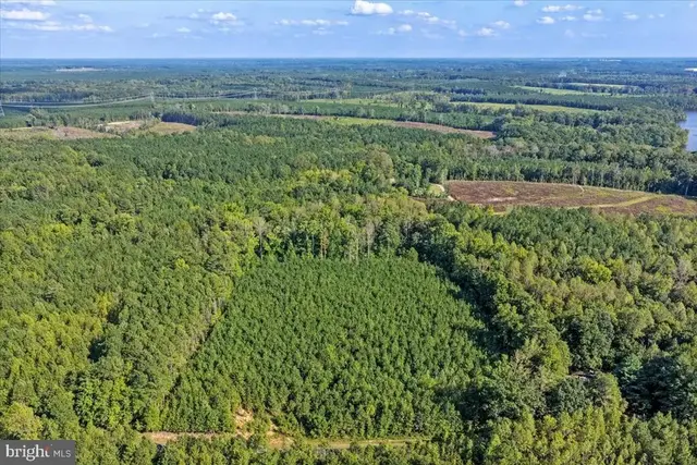 Lot 7 & 8 County Pond Rd, Freeman