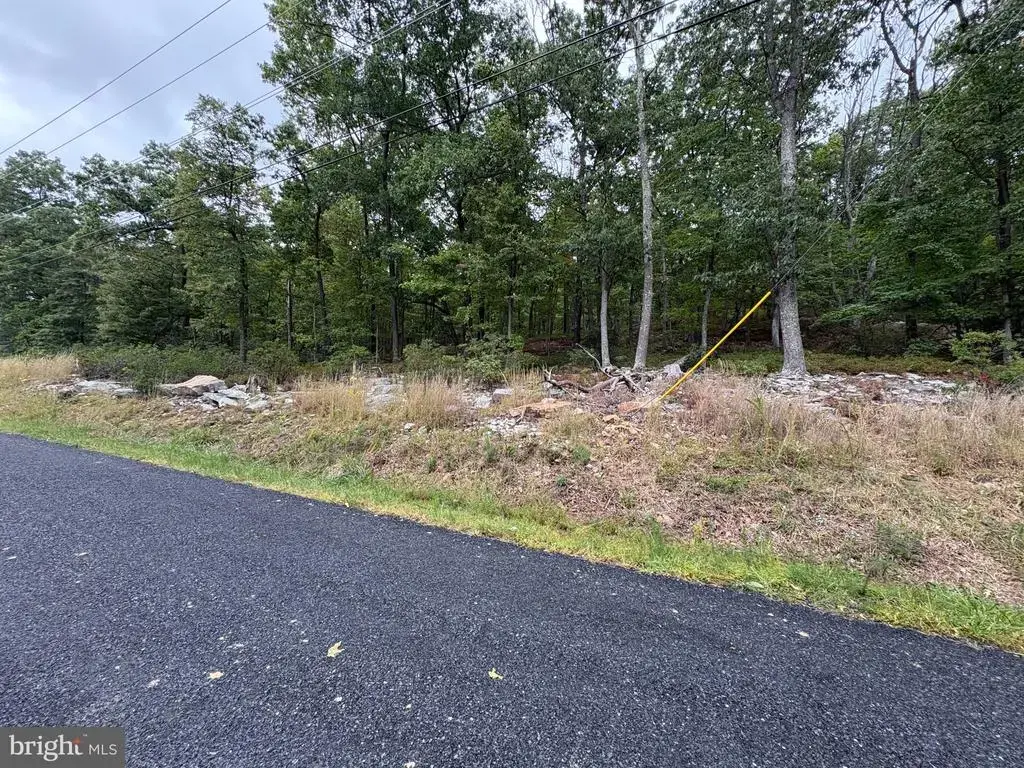 Lot 262 Inca, WINCHESTER