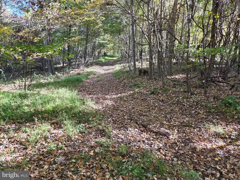 00 Black Walnut Rd, COMMODORE